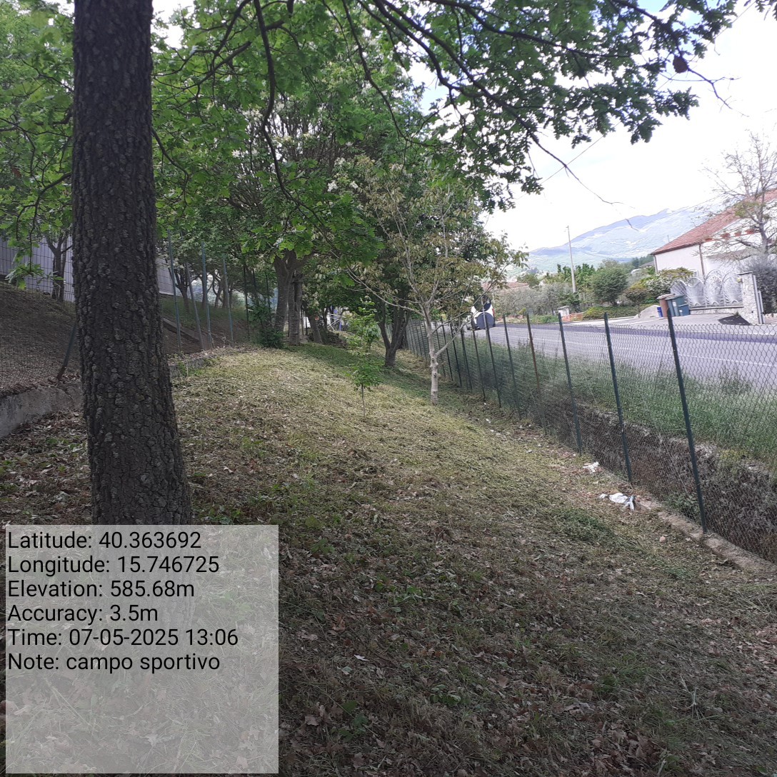 Galleria Fotografica Immagine