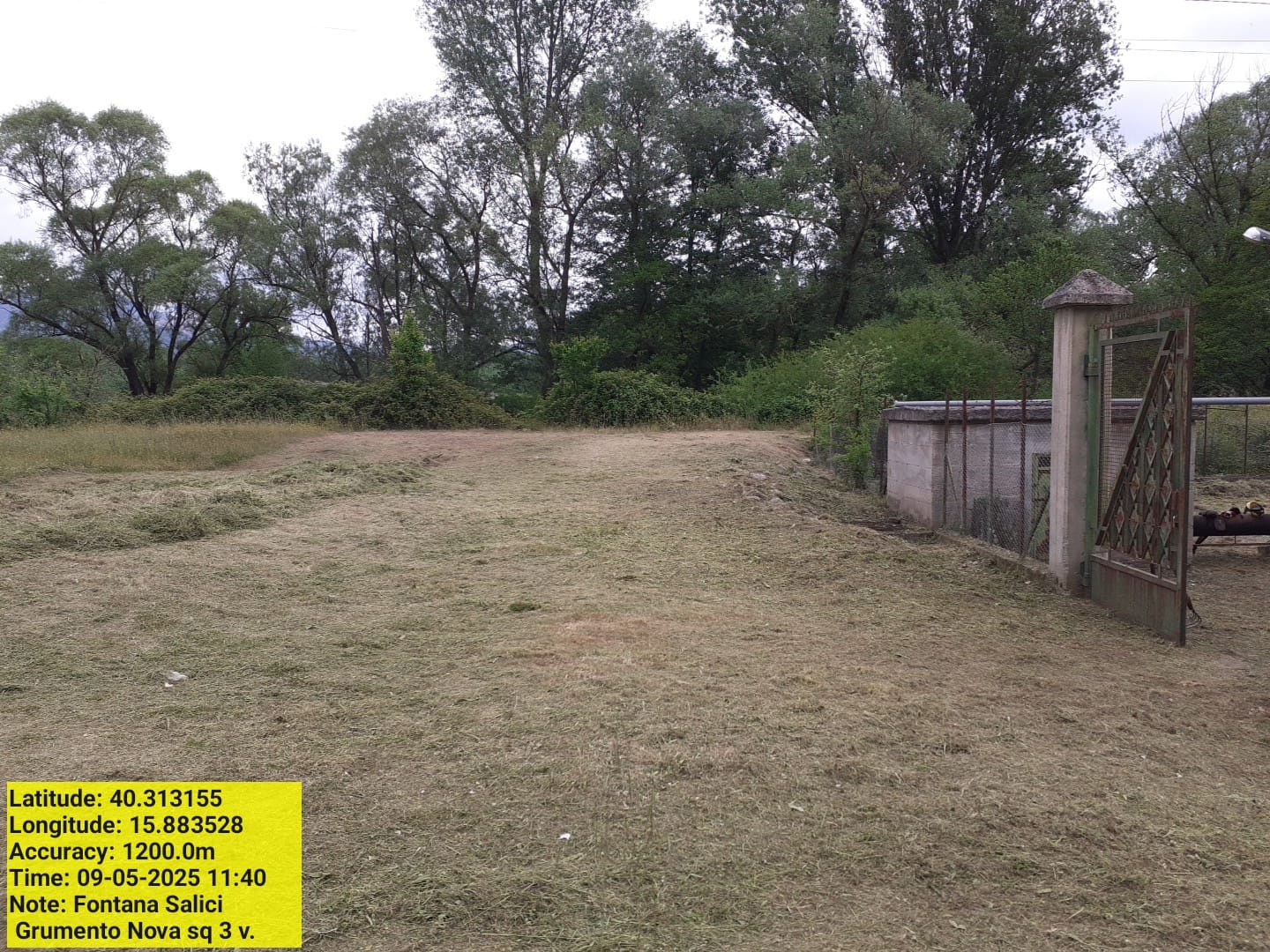 Galleria Fotografica Immagine