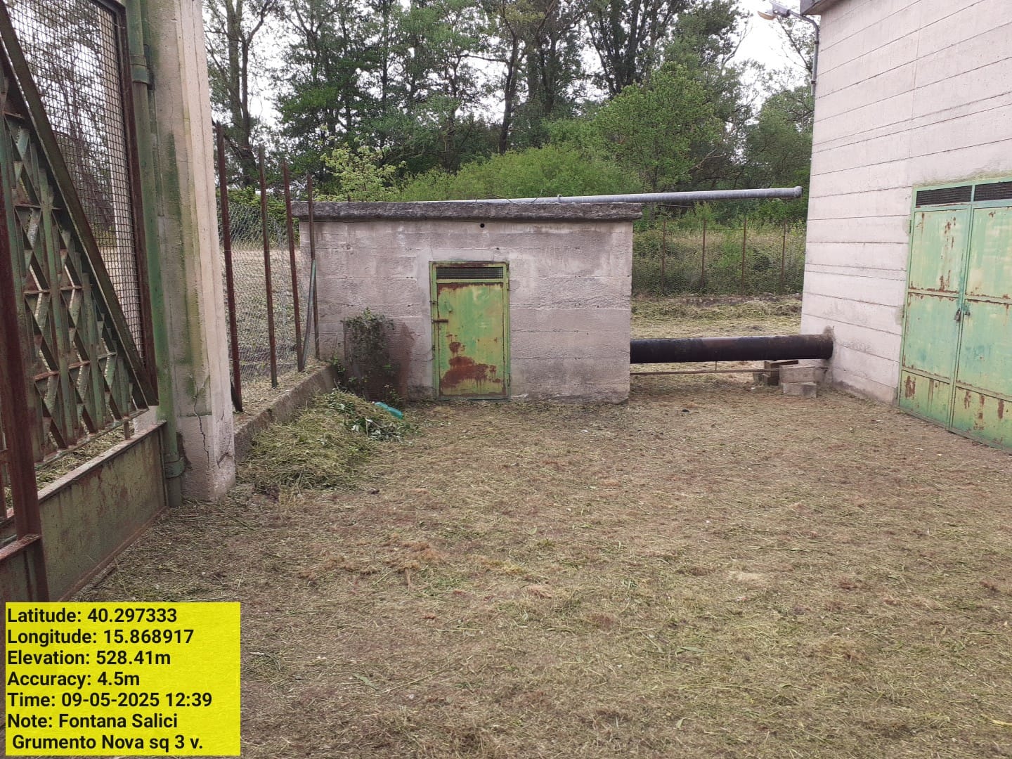 Galleria Fotografica Immagine