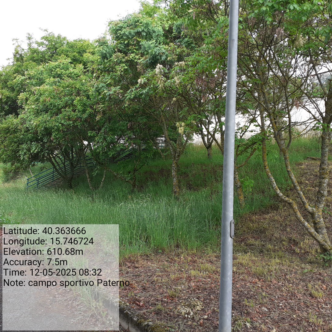 Galleria Fotografica Immagine