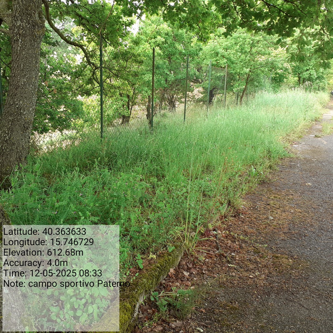 Galleria Fotografica Immagine