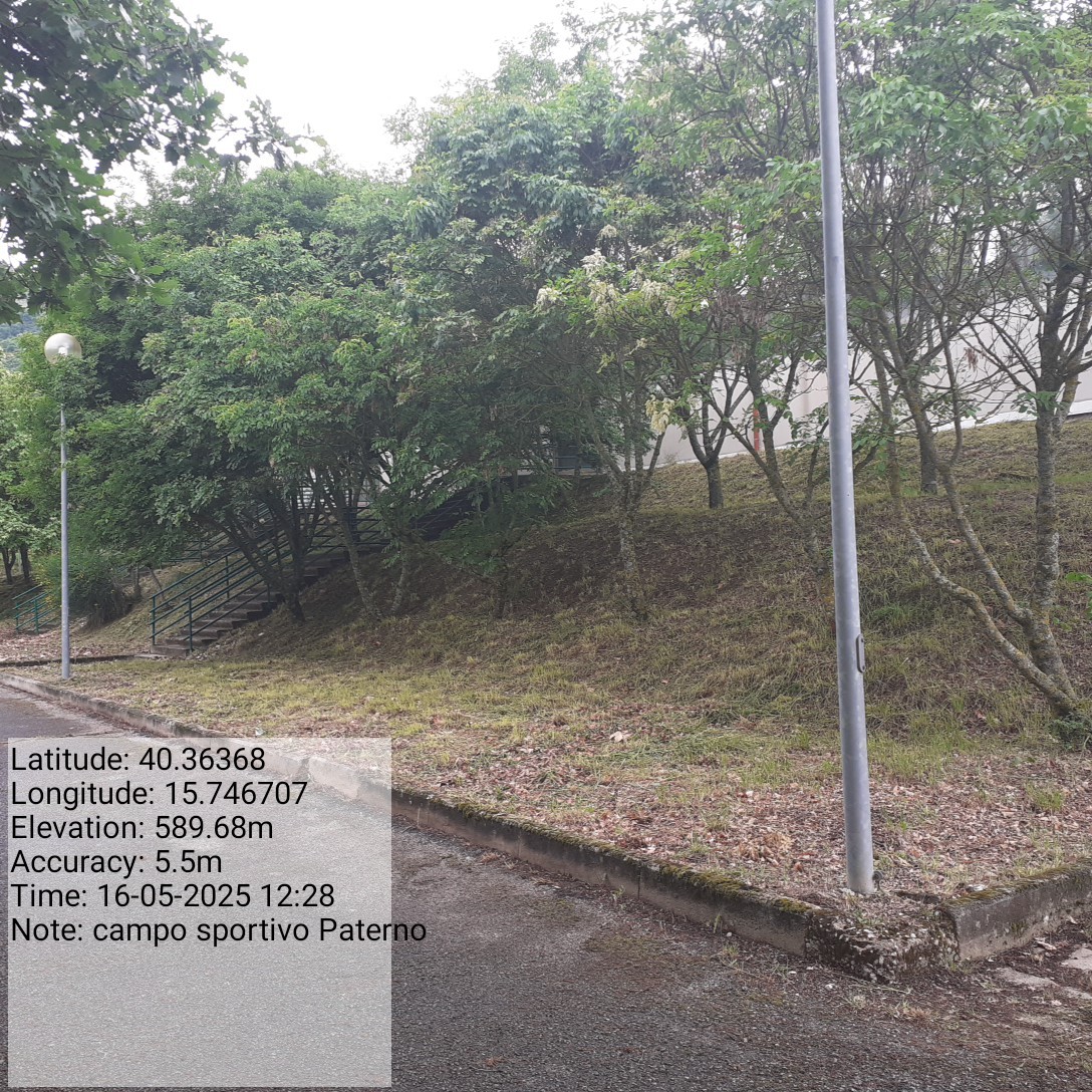 Galleria Fotografica Immagine