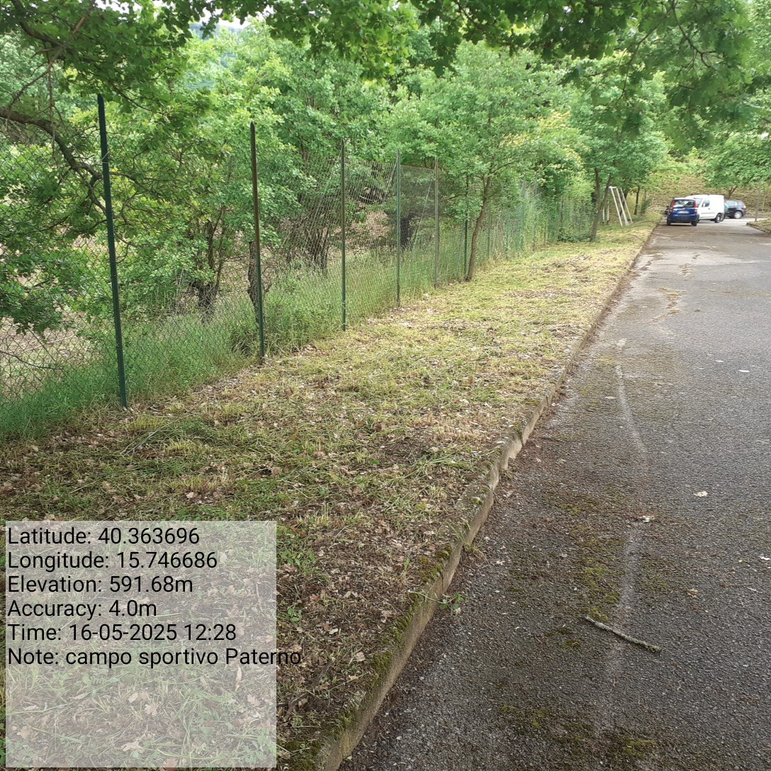 Galleria Fotografica Immagine