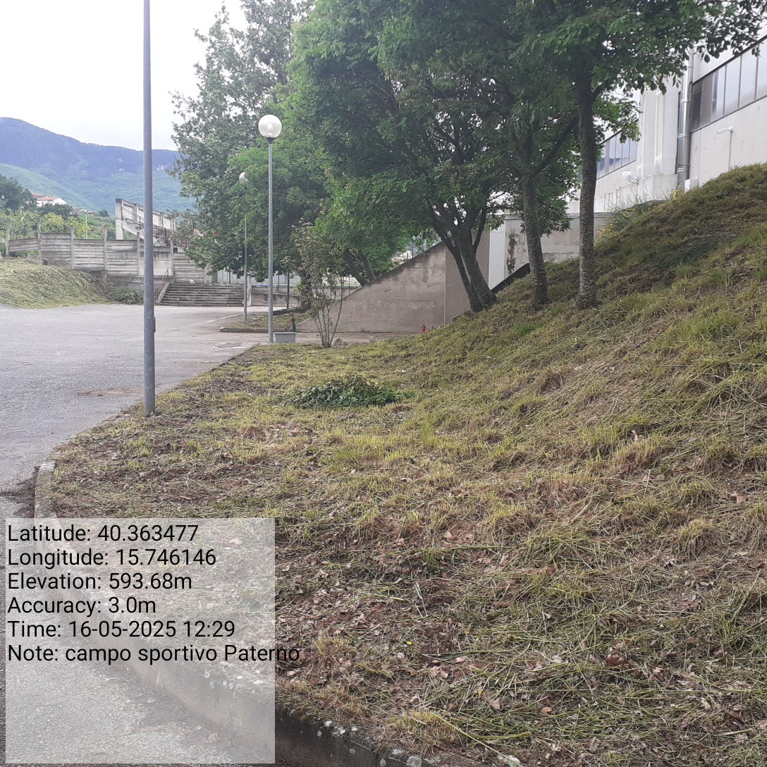 Galleria Fotografica Immagine