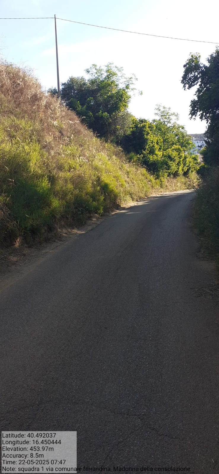 Galleria Fotografica Immagine