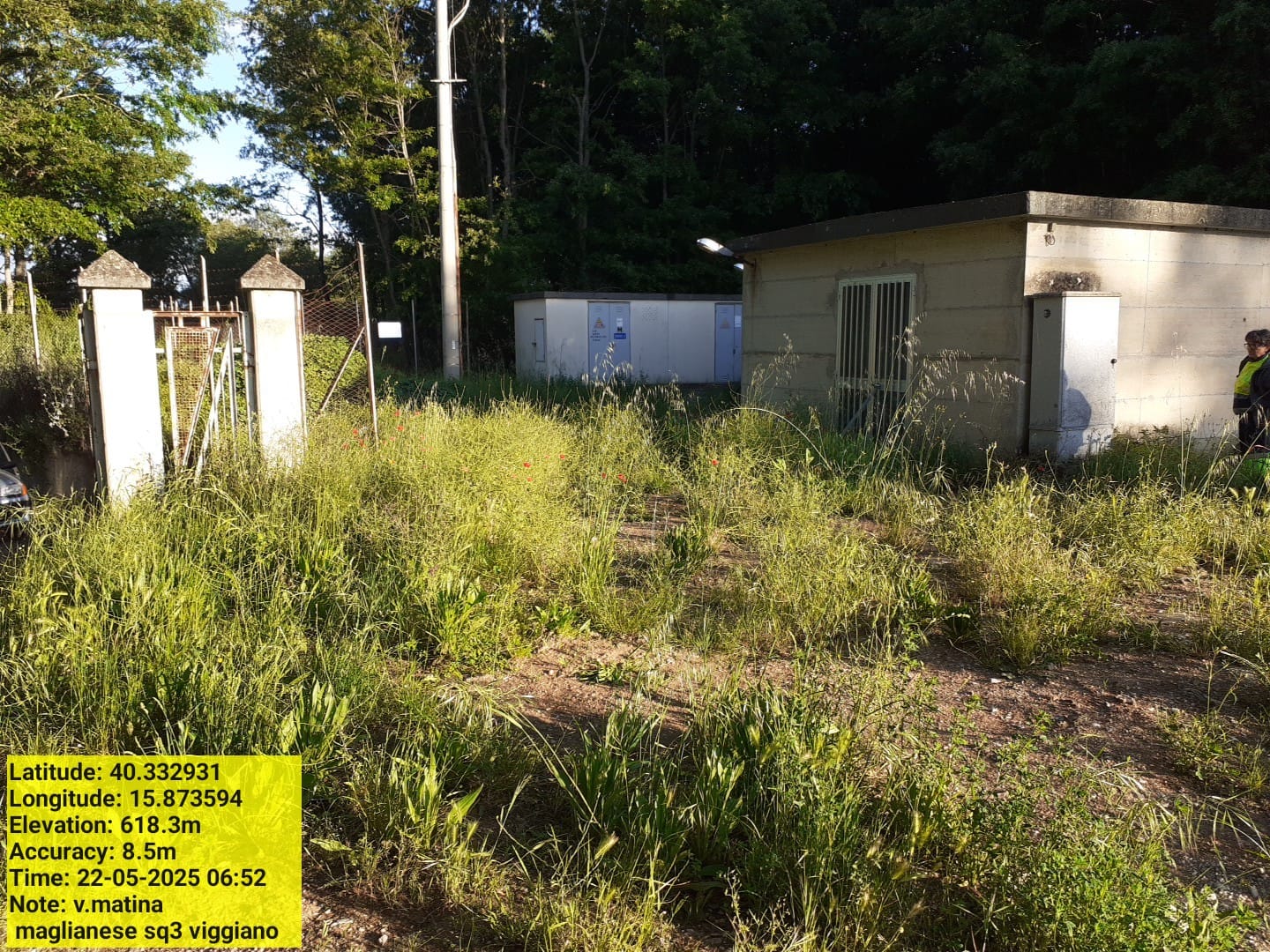 Galleria Fotografica Immagine