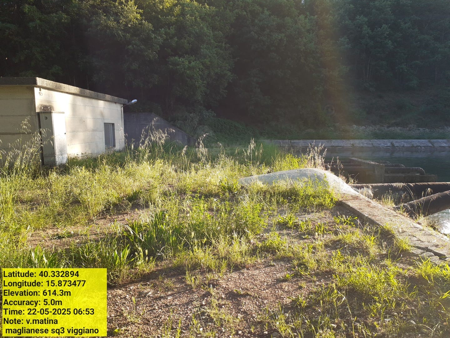 Galleria Fotografica Immagine