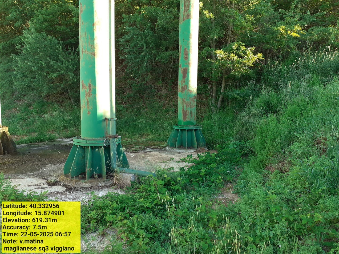 Galleria Fotografica Immagine