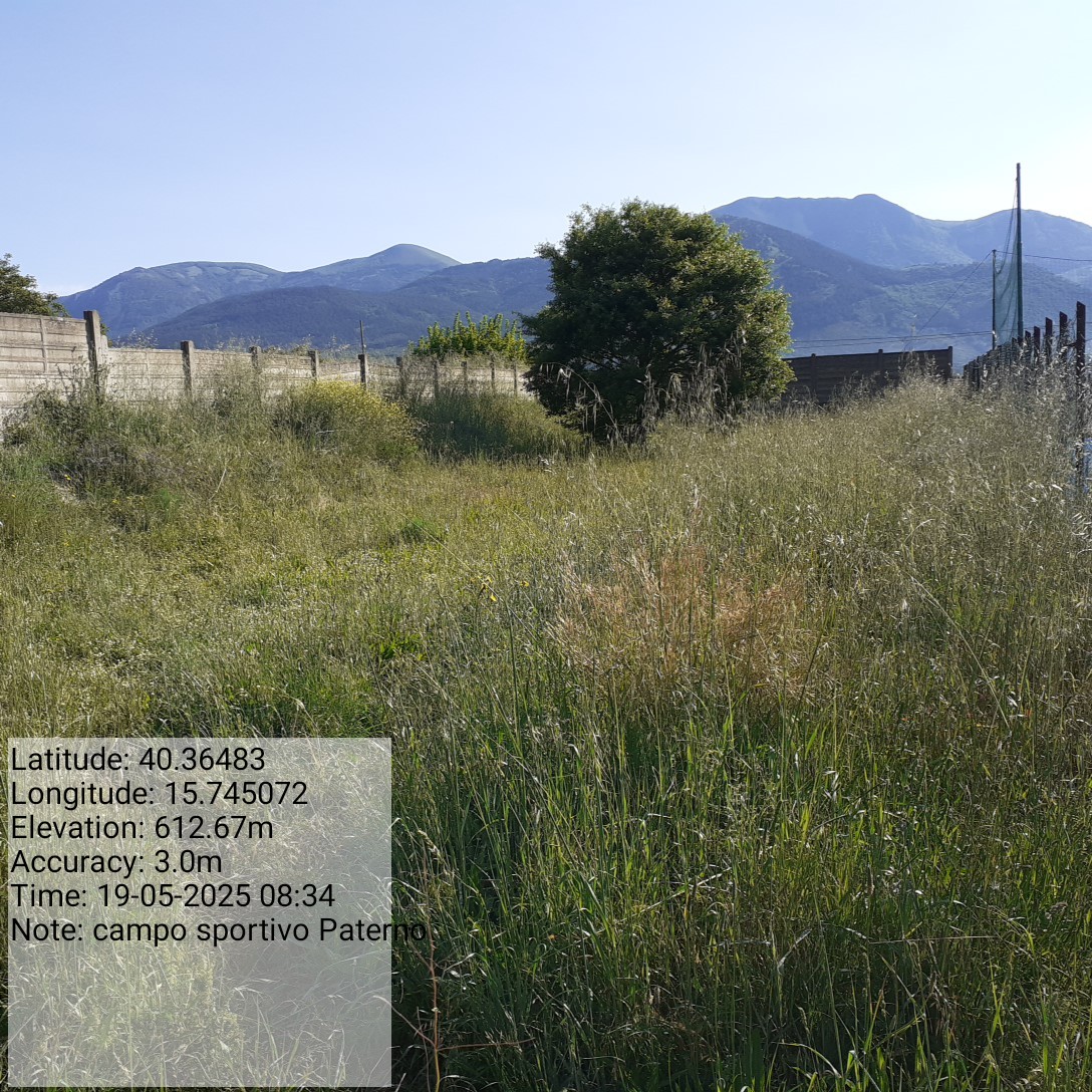 Galleria Fotografica Immagine