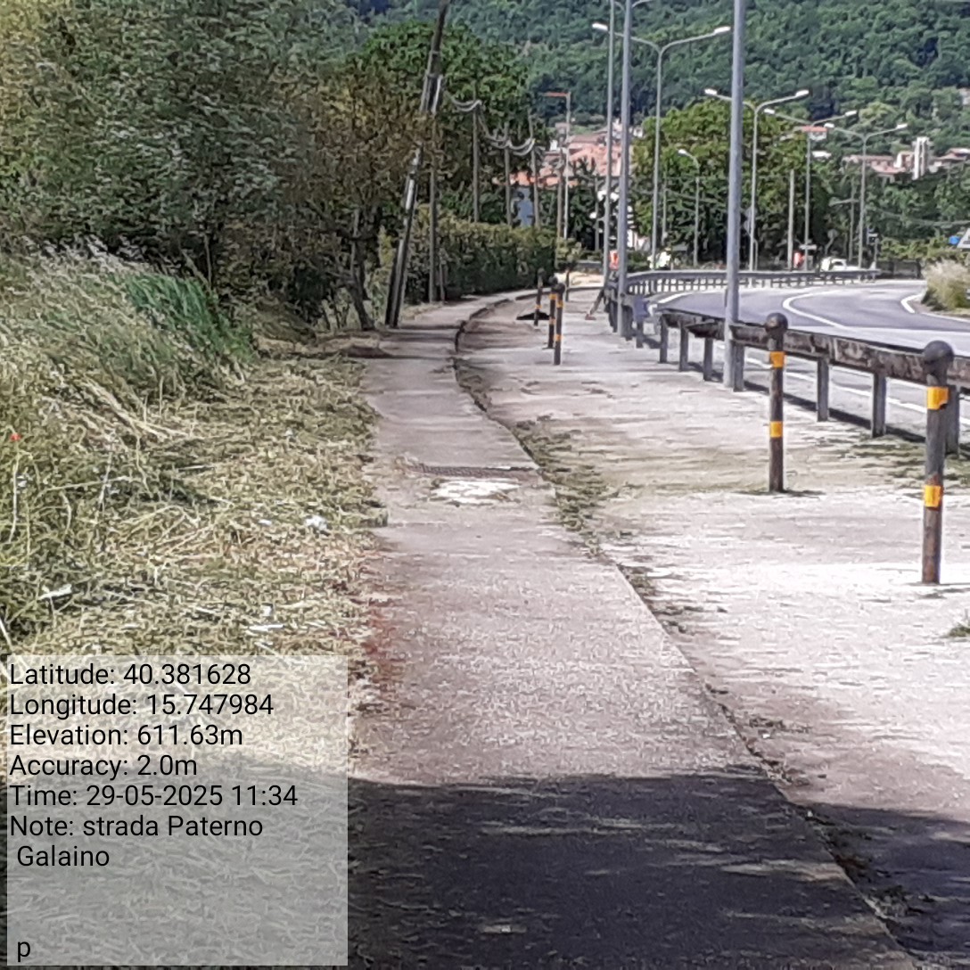 Galleria Fotografica Immagine