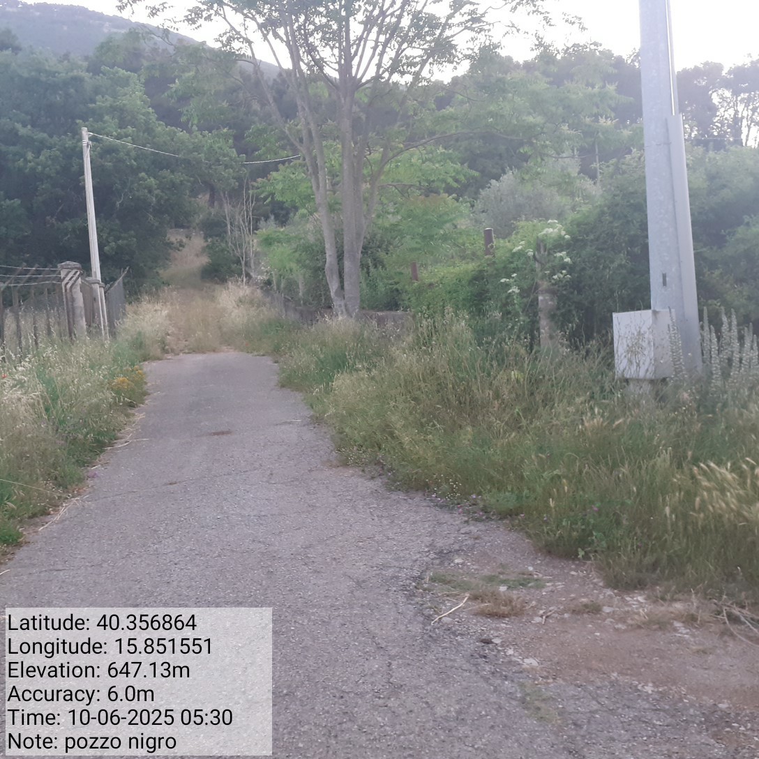 Galleria Fotografica Immagine