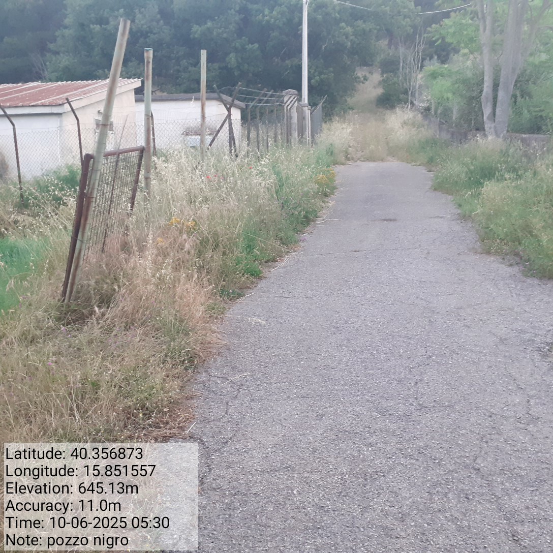 Galleria Fotografica Immagine