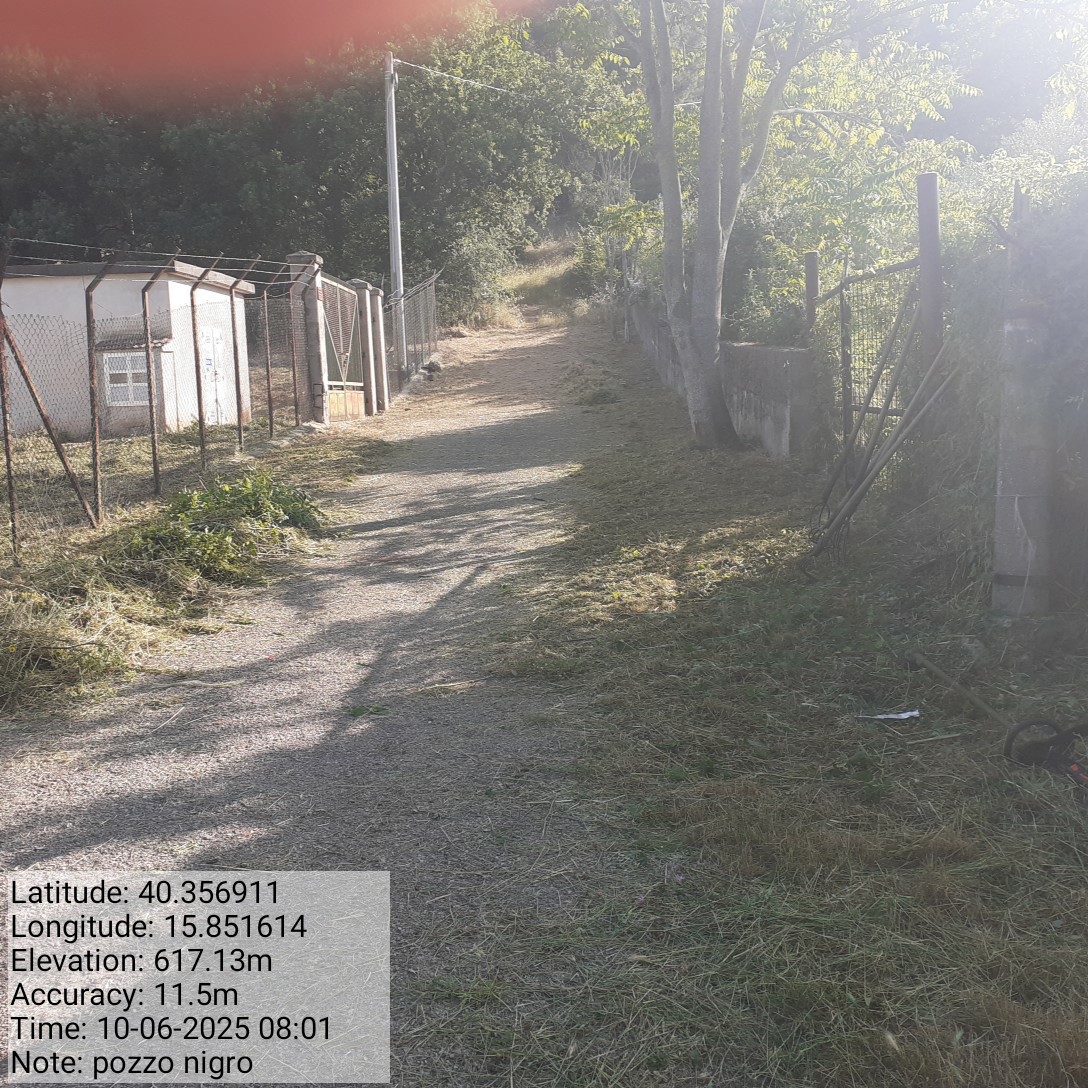 Galleria Fotografica Immagine