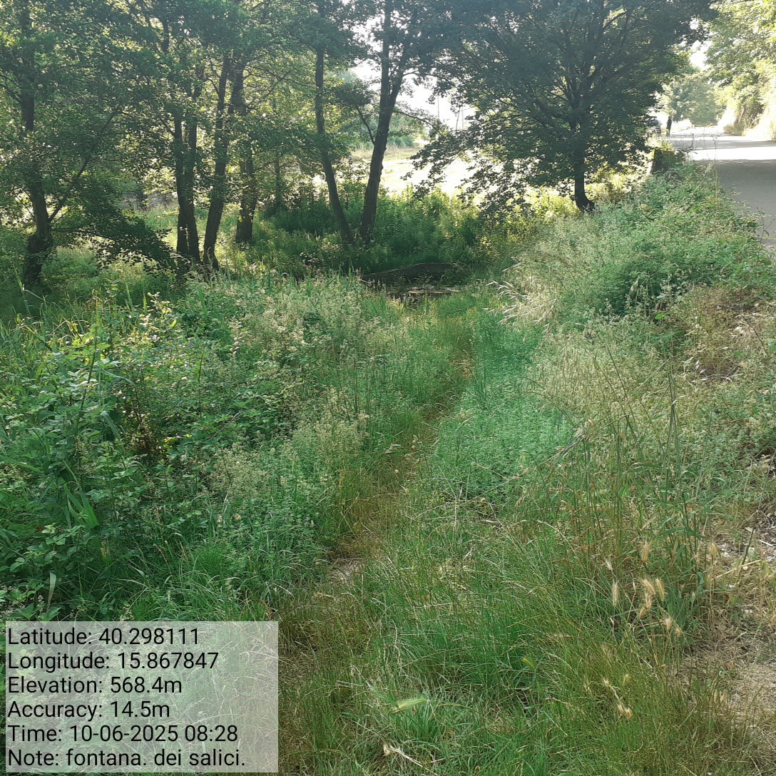 Galleria Fotografica Immagine