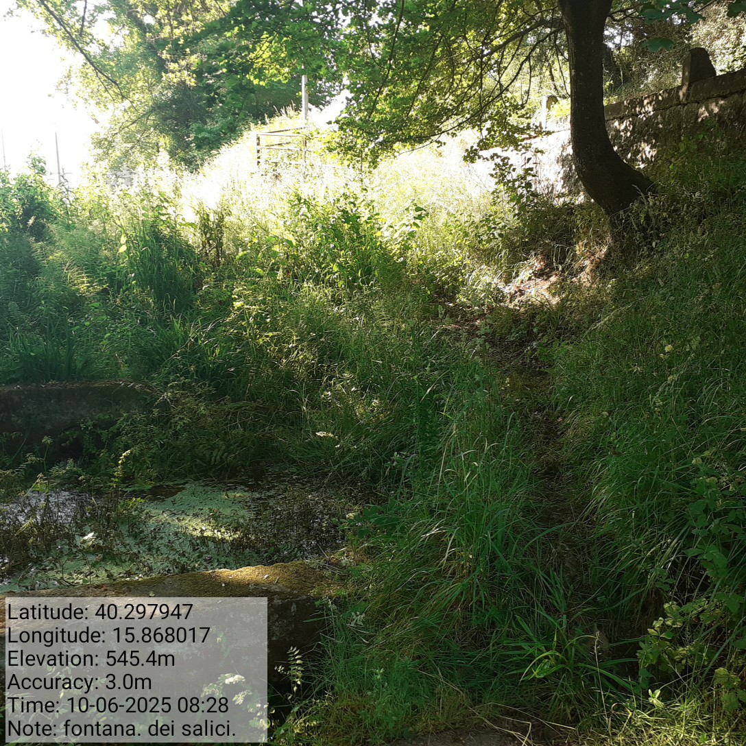 Galleria Fotografica Immagine