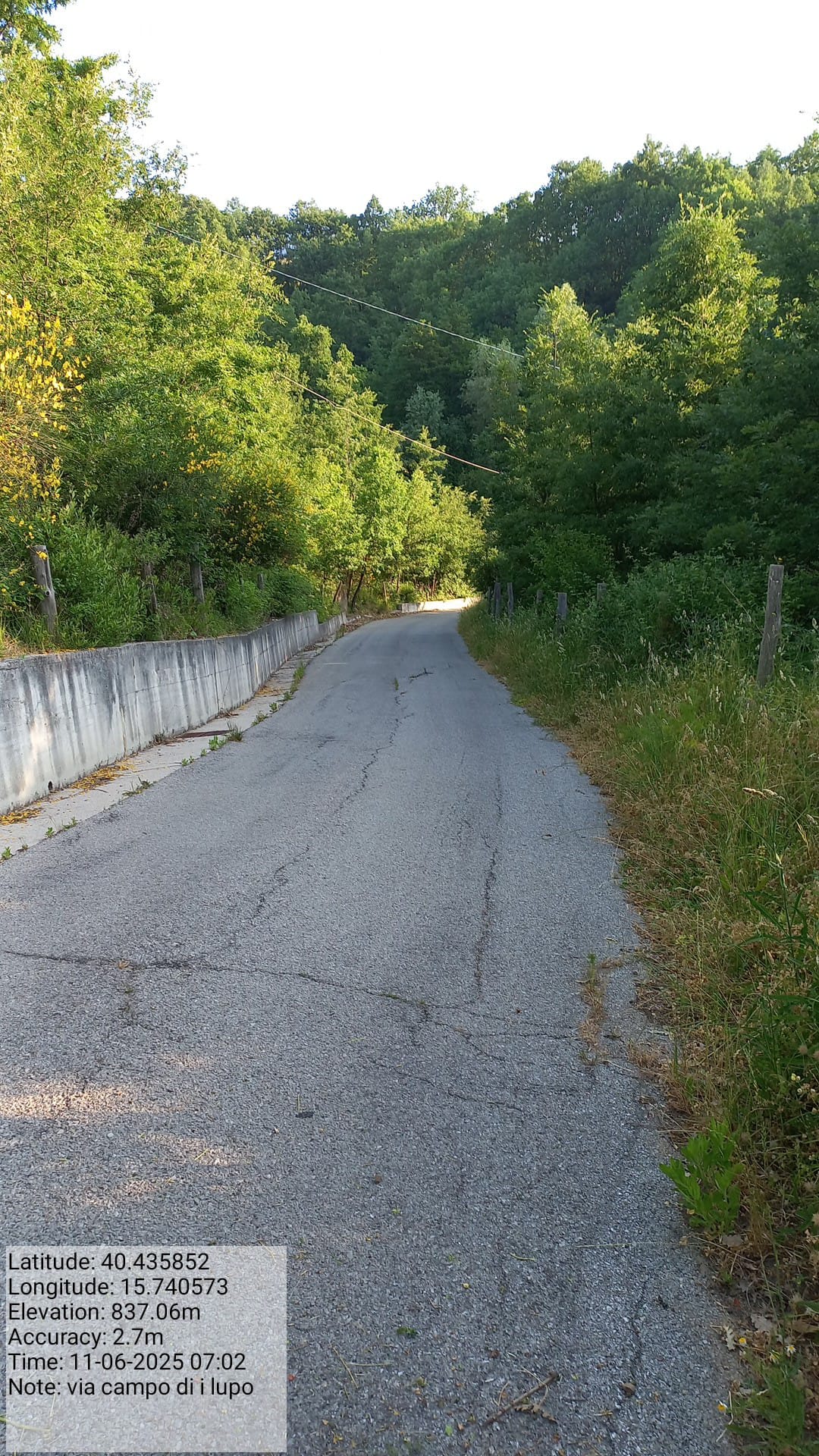 Galleria Fotografica Immagine