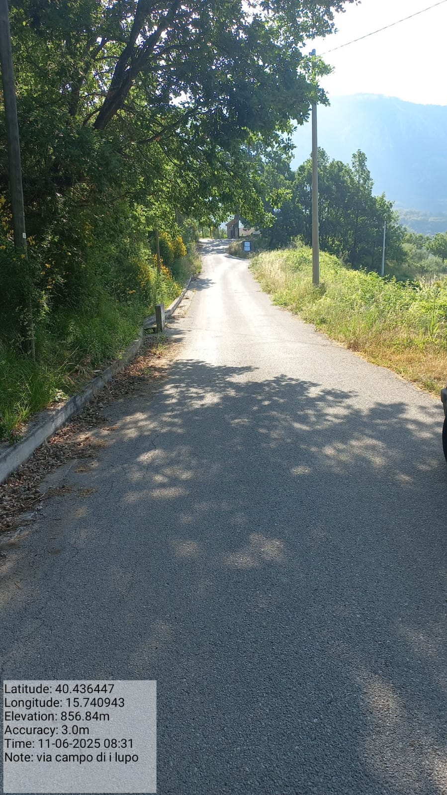 Galleria Fotografica Immagine