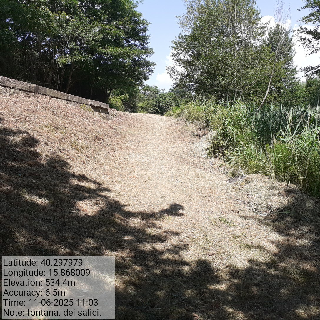 Galleria Fotografica Immagine