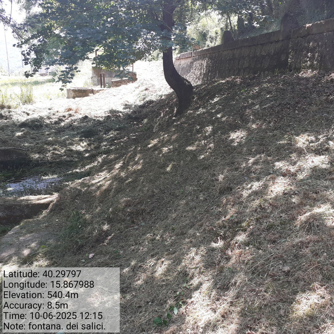 Galleria Fotografica Immagine