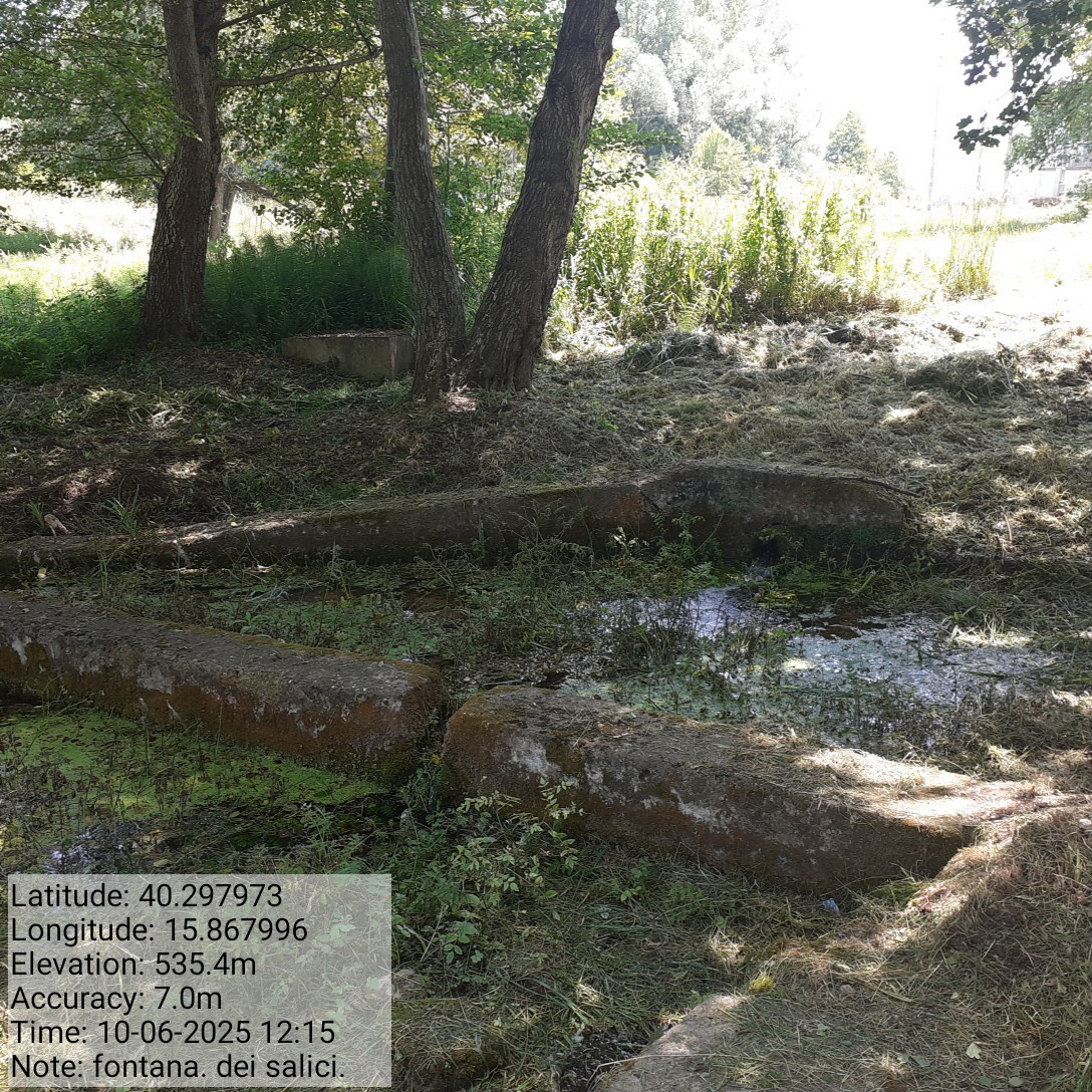 Galleria Fotografica Immagine