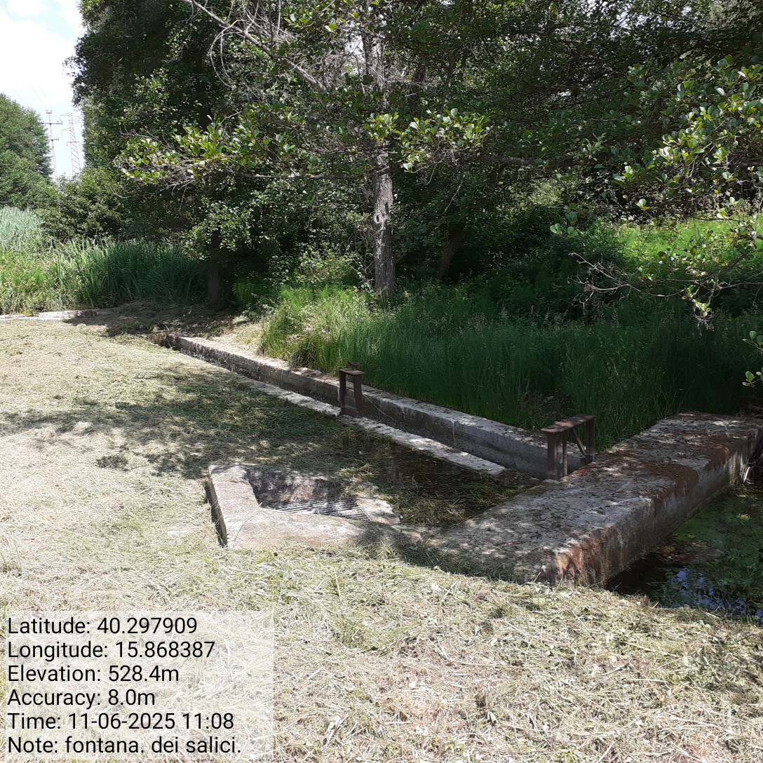 Galleria Fotografica Immagine