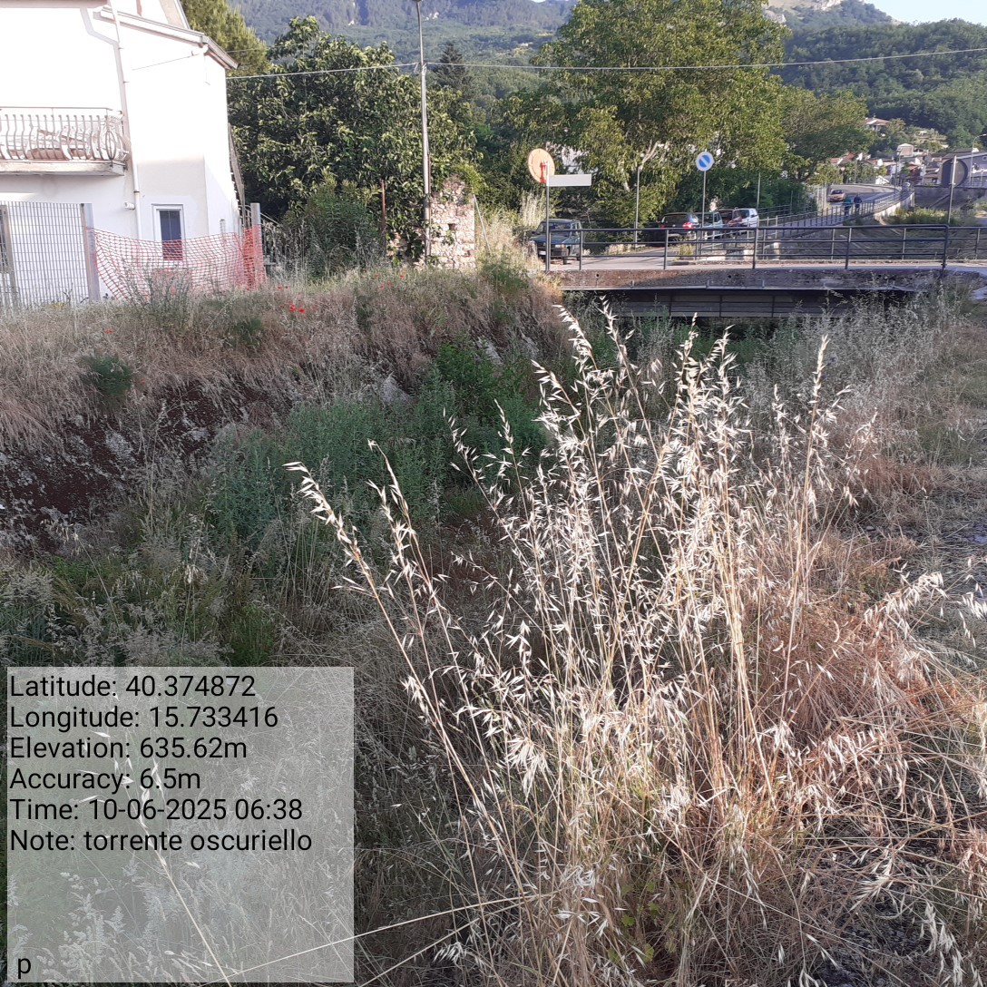 Galleria Fotografica Immagine