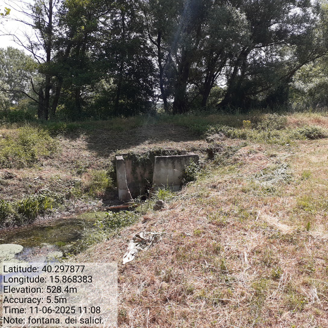 Galleria Fotografica Immagine