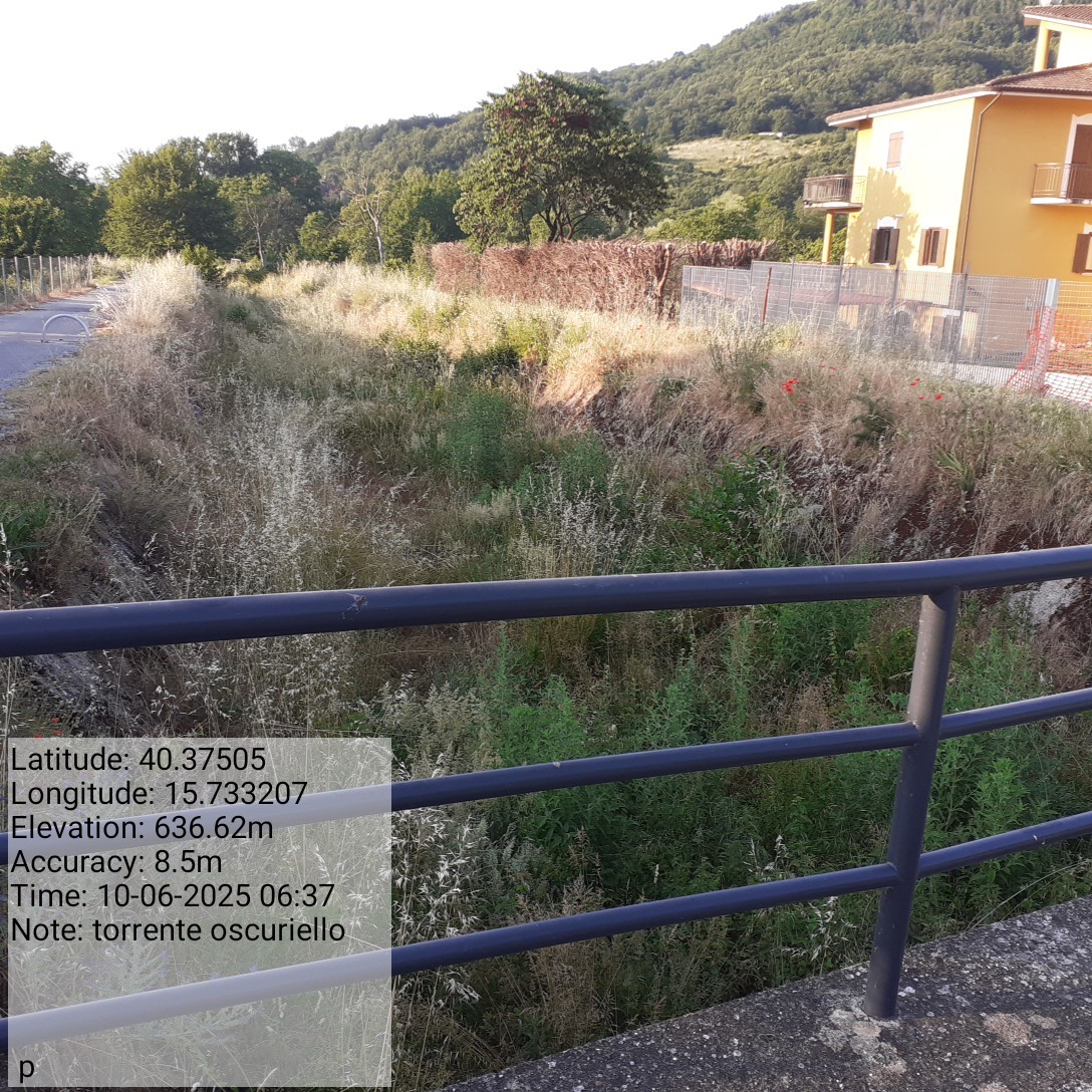 Galleria Fotografica Immagine