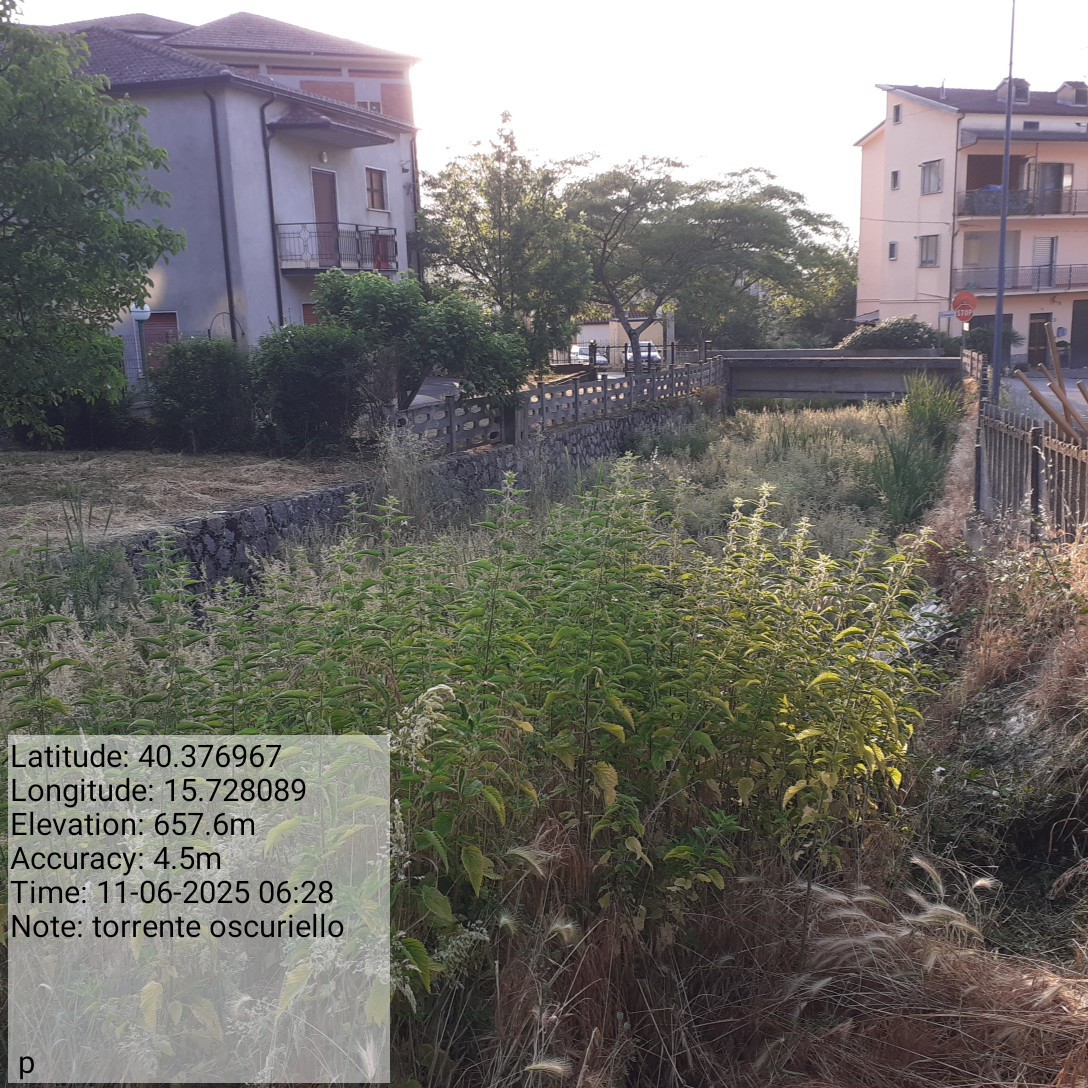 Galleria Fotografica Immagine