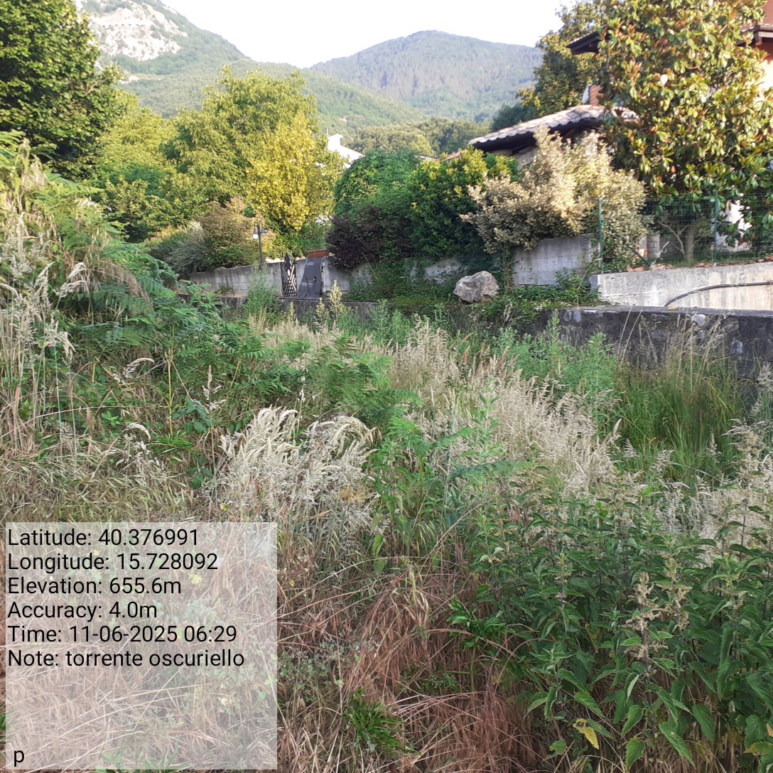 Galleria Fotografica Immagine