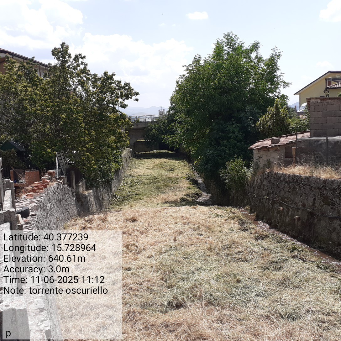 Galleria Fotografica Immagine