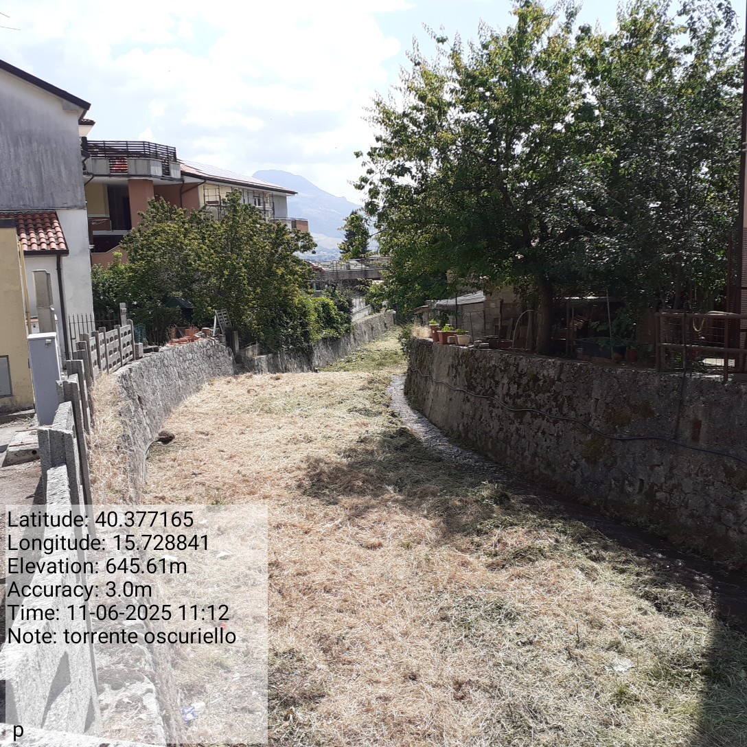 Galleria Fotografica Immagine