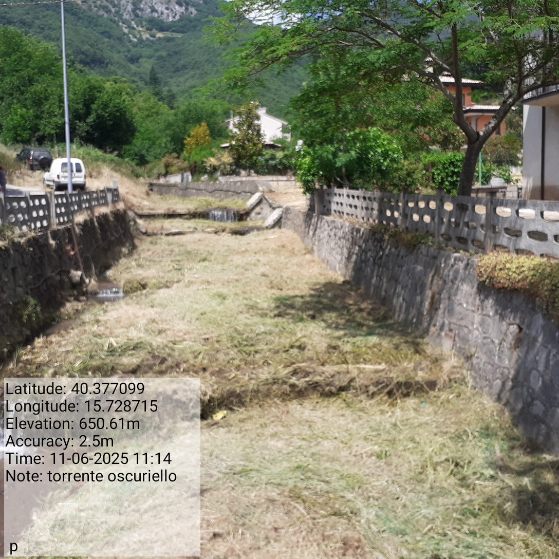 Galleria Fotografica Immagine