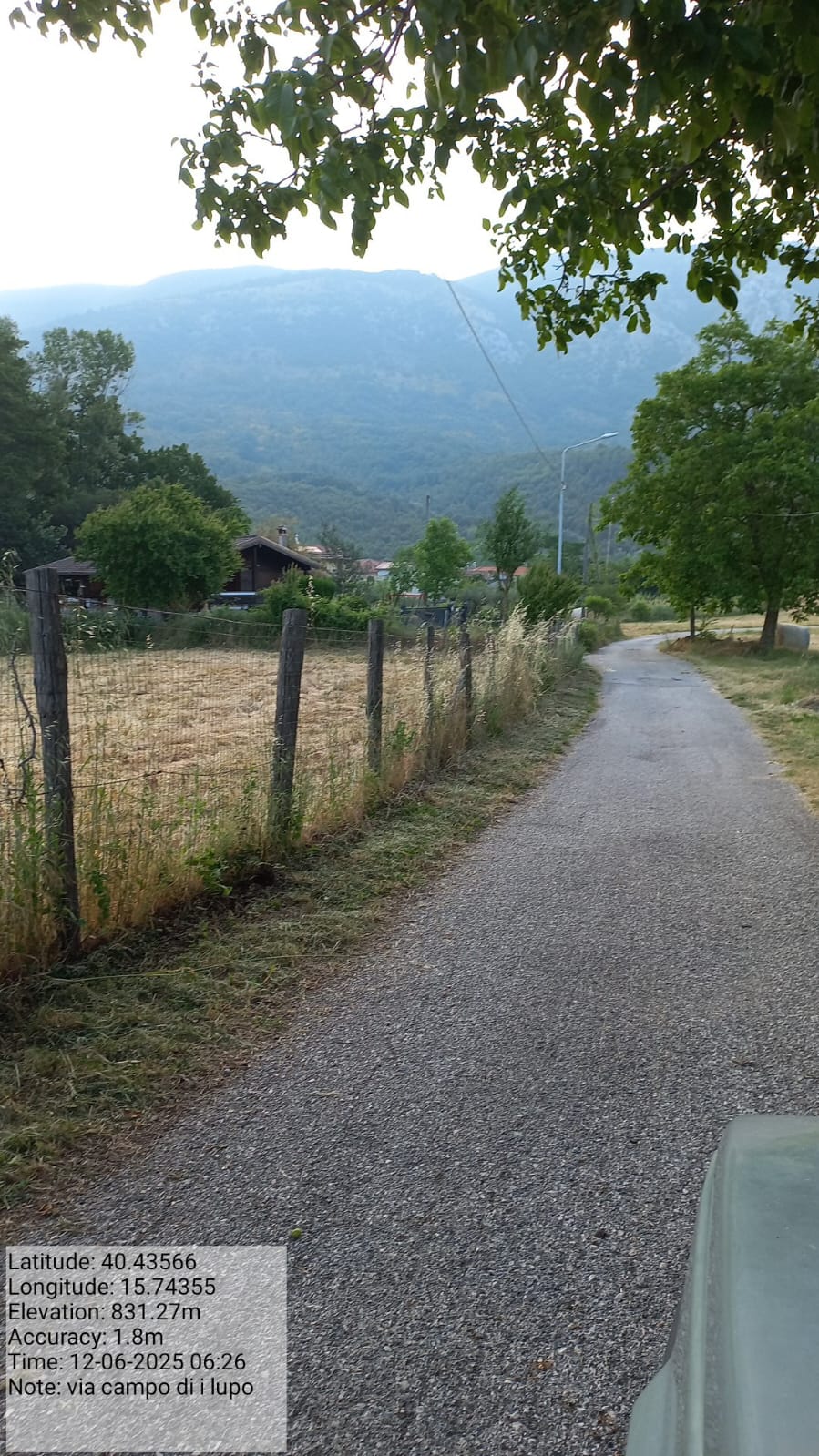 Galleria Fotografica Immagine