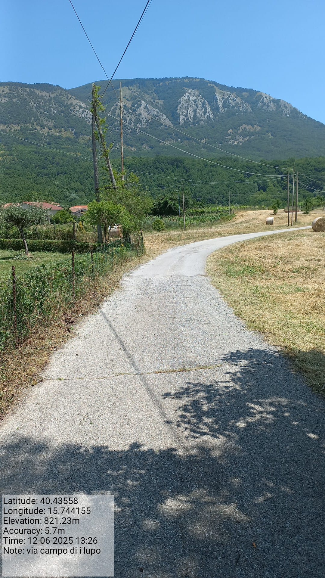 Galleria Fotografica Immagine