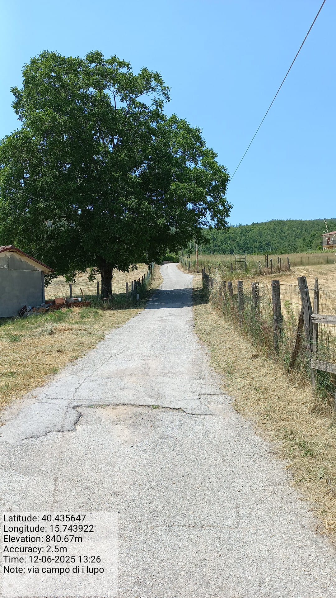 Galleria Fotografica Immagine