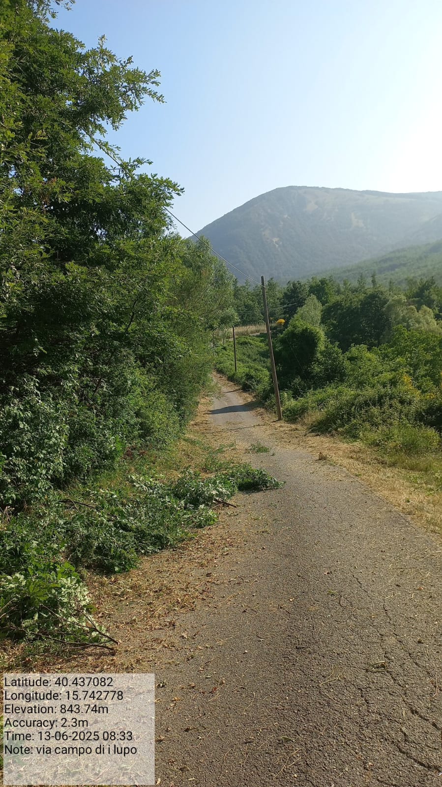 Galleria Fotografica Immagine