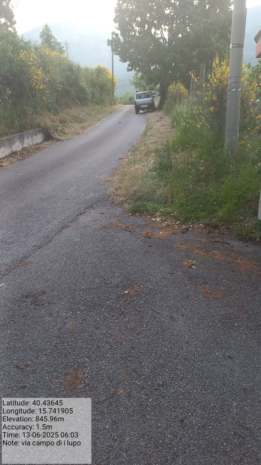 Galleria Fotografica Immagine