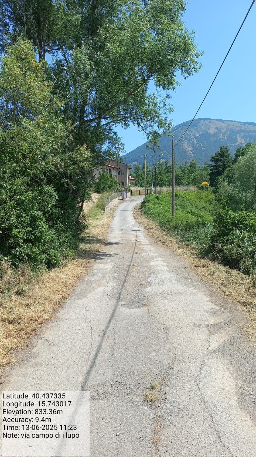 Galleria Fotografica Immagine