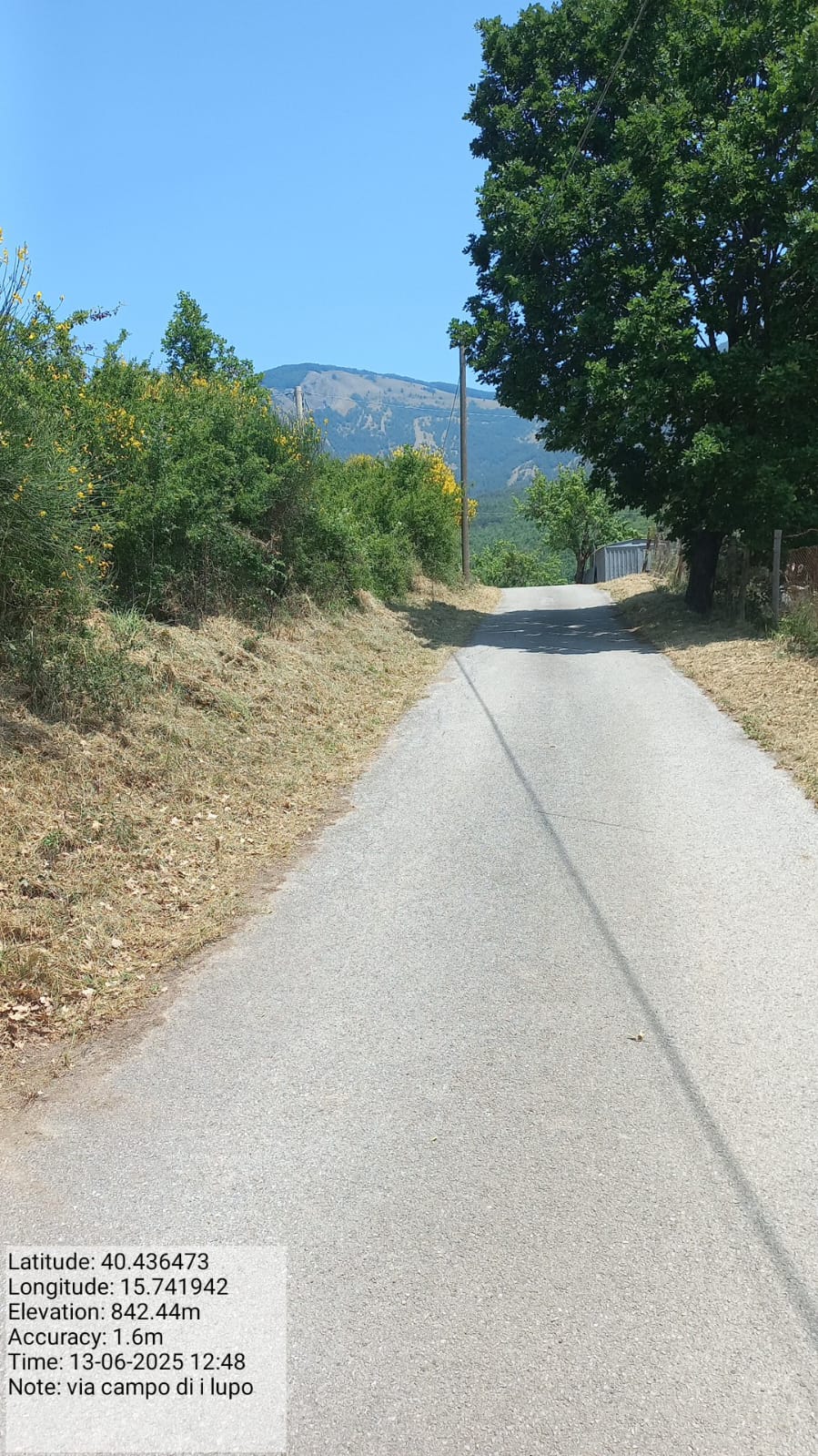 Galleria Fotografica Immagine