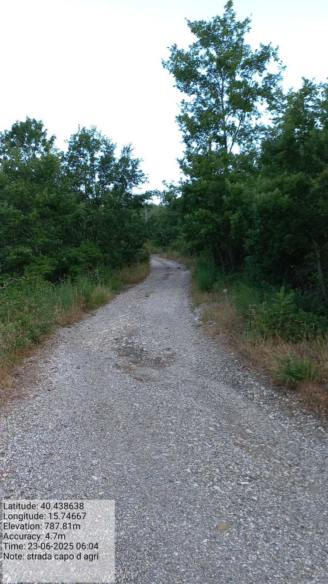 Galleria Fotografica Immagine