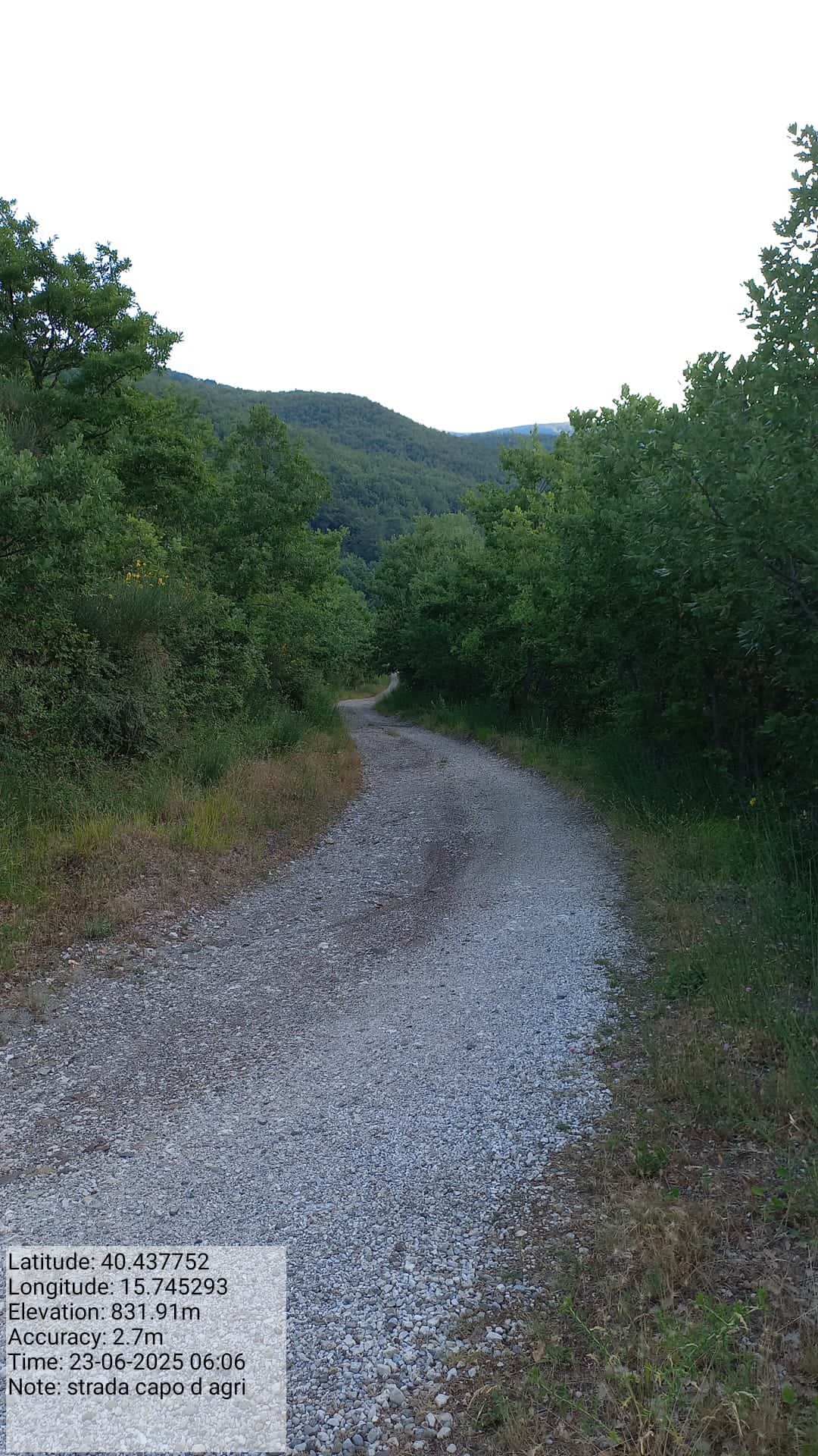 Galleria Fotografica Immagine