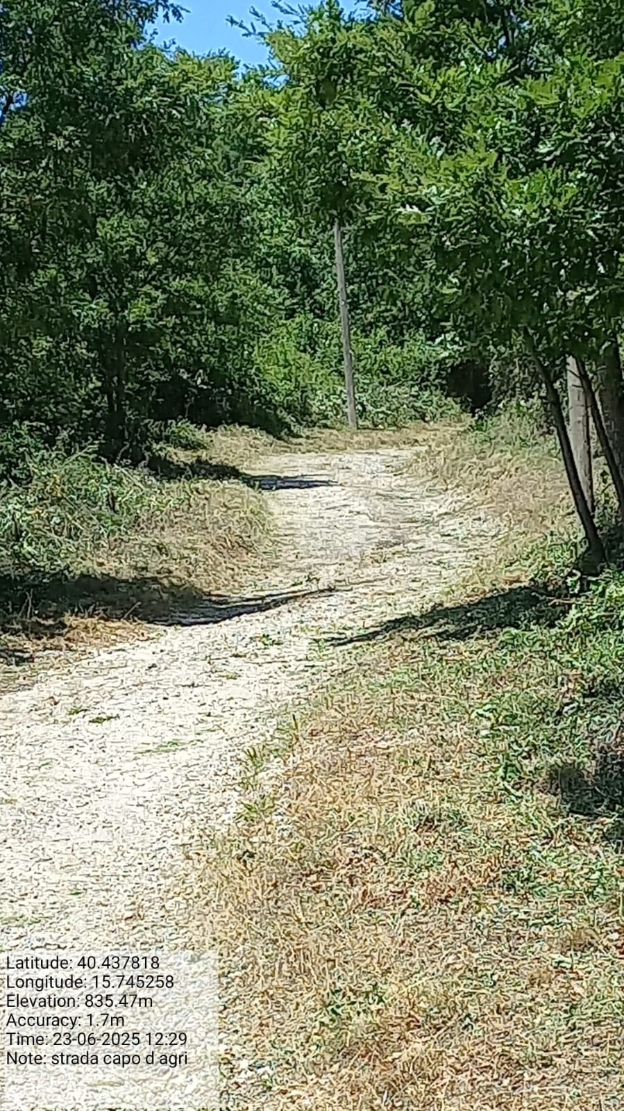 Galleria Fotografica Immagine