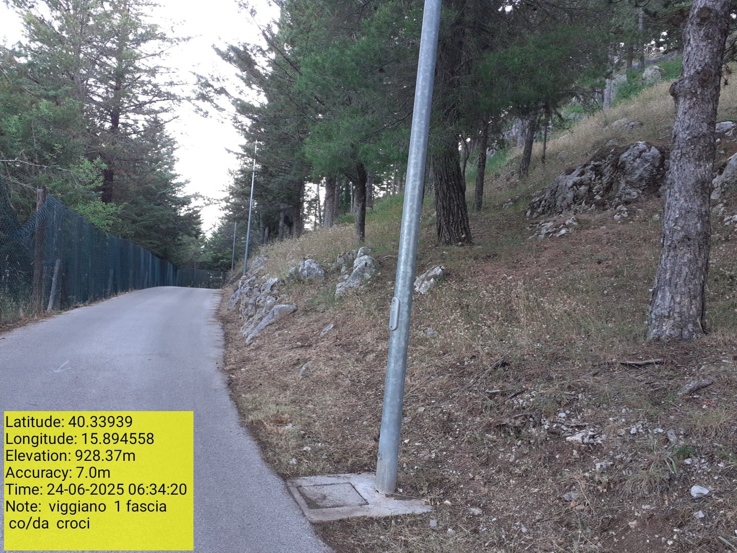 Galleria Fotografica Immagine