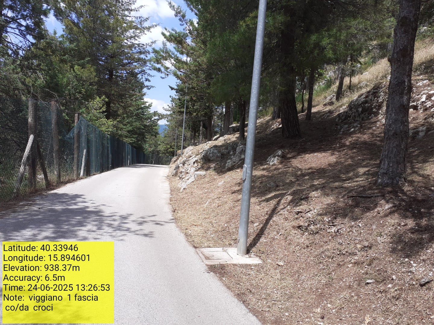 Galleria Fotografica Immagine