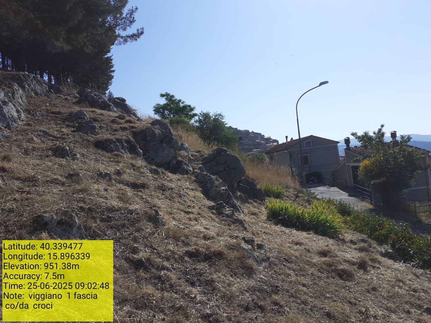 Galleria Fotografica Immagine