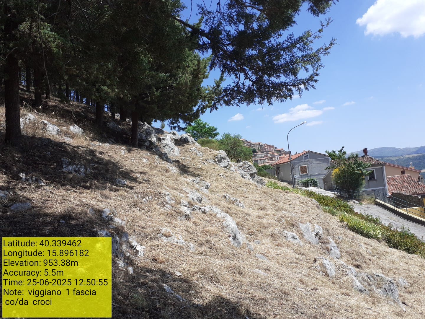 Galleria Fotografica Immagine