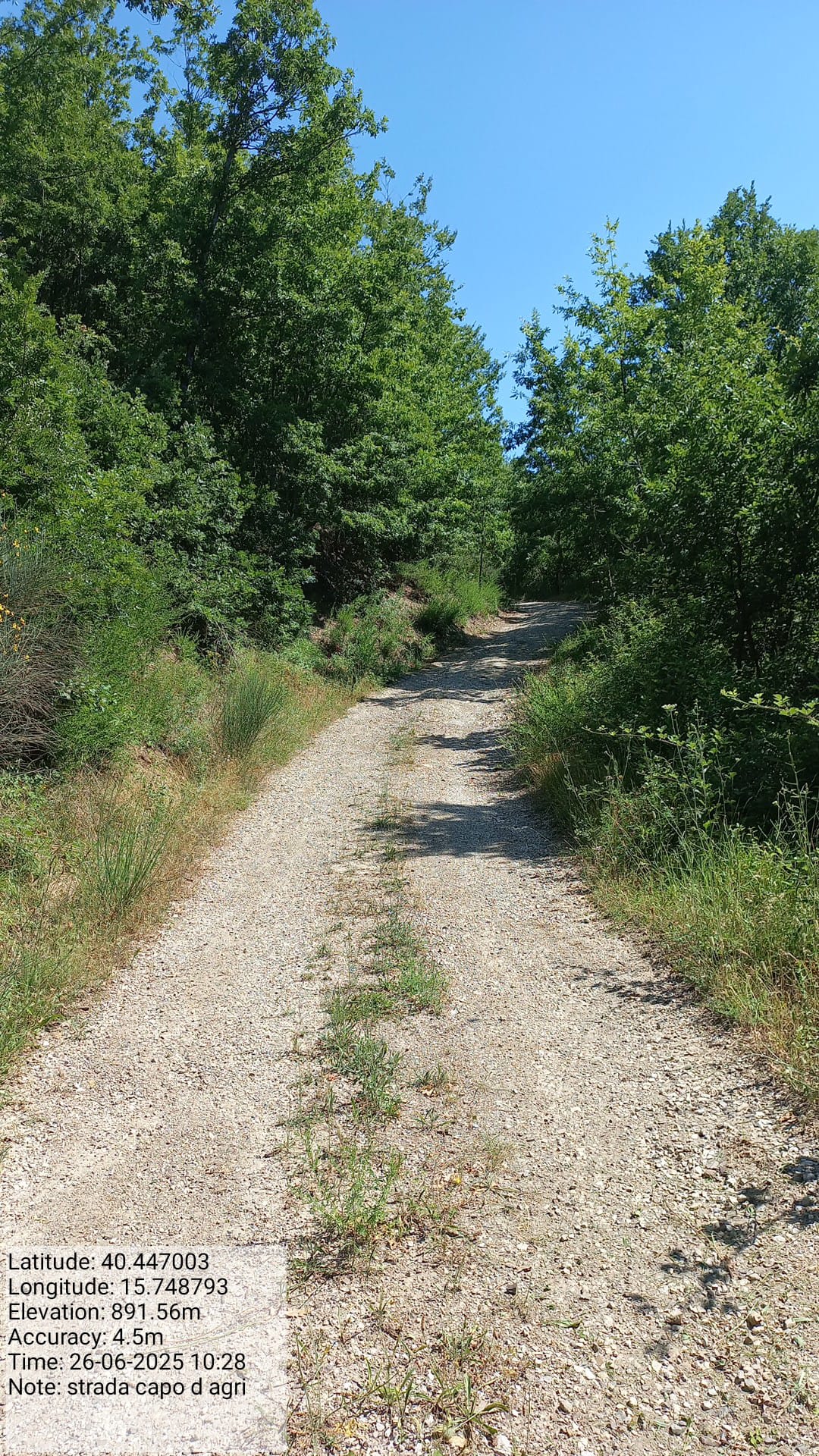 Galleria Fotografica Immagine