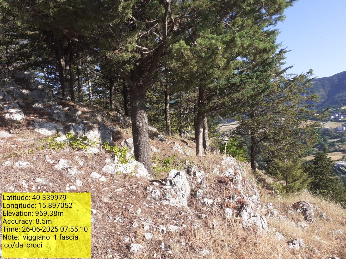 Galleria Fotografica Immagine