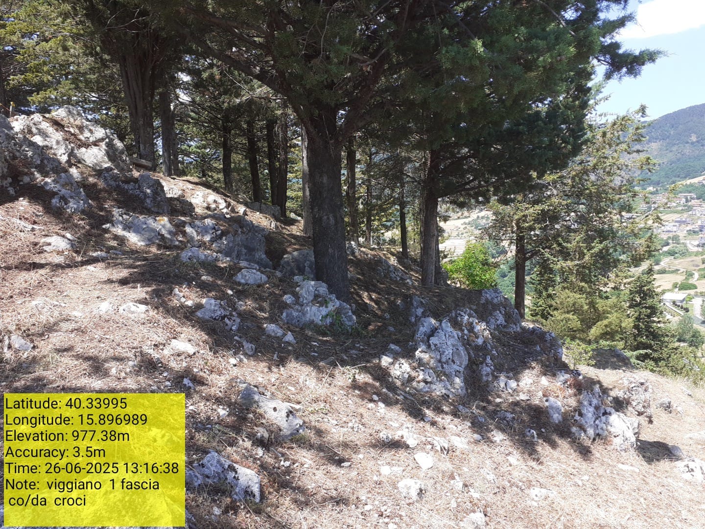 Galleria Fotografica Immagine